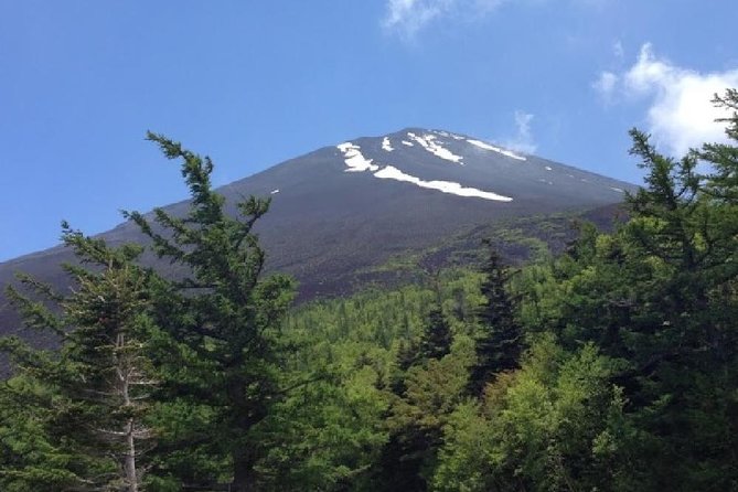 Mt Fuji & Hakone Cruise, Drum Show Bus 1 Day from Tokyo - The long ride back to Tokyo