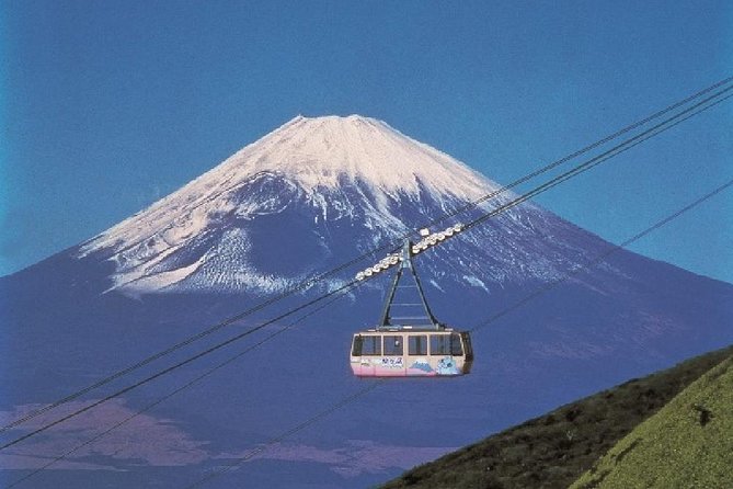 Mt Fuji & Hakone Cruise, Drum Show Bus 1 Day from Tokyo - Who should book this tour?
