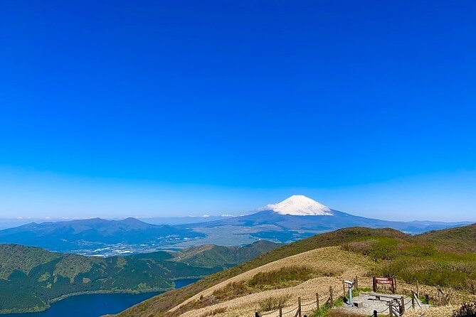 Mt Fuji & Hakone Cruise, Drum Show Bus 1 Day from Tokyo Sta. Area - Who should book this day trip