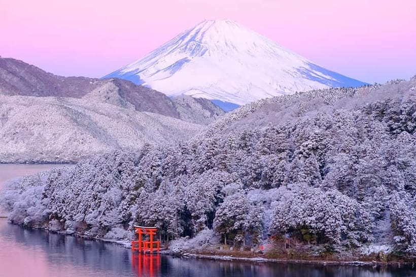 Mt.Fuji Hakone Day Tour With Lake Ashi Cruise, FREE Ropeway - Lake Yamanaka and the swans