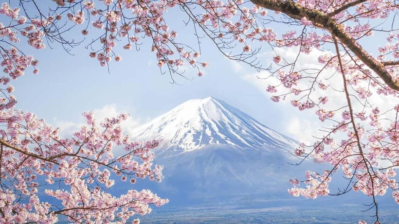 Mt.Fuji Hakone Day Tour With Lake Ashi Cruise, FREE Ropeway - Oshino Hakkai’s eight clear springs