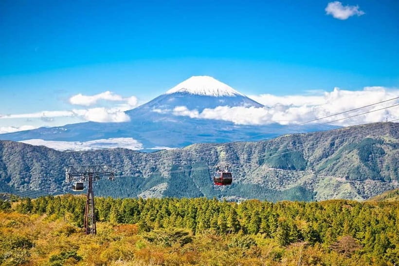 Mt.Fuji Hakone Day Tour With Lake Ashi Cruise, FREE Ropeway - Entering Hakone Shrine through the cedar woods
