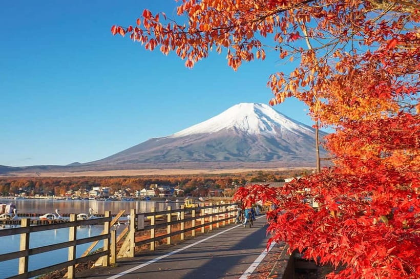 Mt Fuji Hakone/Enoshima Tour:Optional Ropeway/Lake Ashi Boat - Hakone Shrine and the torii on Lake Ashi