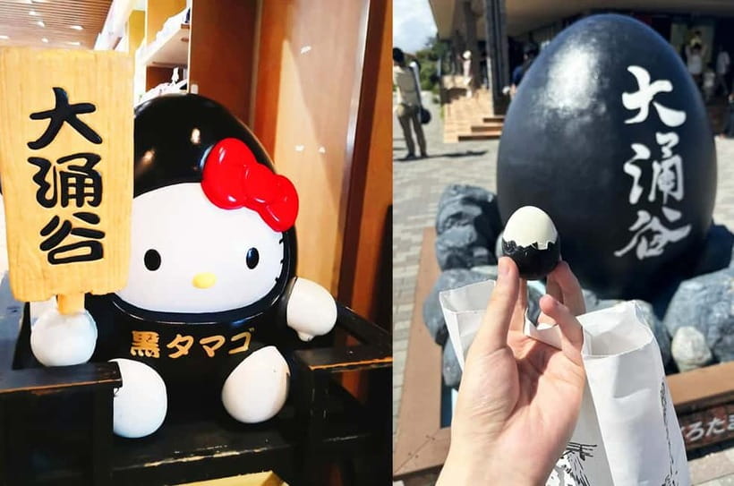 Mt Fuji Hakone/Enoshima Tour:Optional Ropeway/Lake Ashi Boat - Guide quality and group communication
