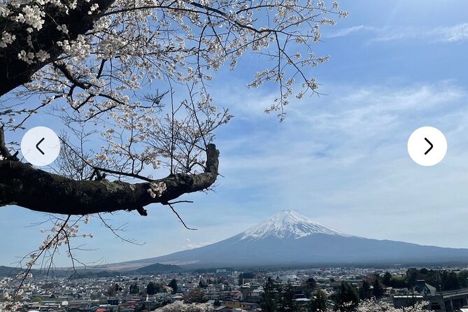 Mt. Fuji, Hakone Full-Day Private Tour with English Driver Guide - Oshino Hakkai and Saiko Iyashi no Sato Nenba