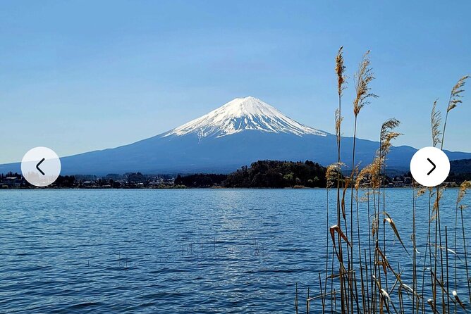Mt. Fuji, Hakone Full-Day Private Tour with English Driver Guide - Chureito Pagoda and Arakurayama Sengen Park