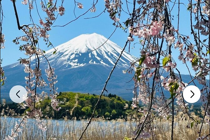 Mt. Fuji, Hakone Full-Day Private Tour with English Driver Guide - Owakudani, black eggs, and volcanic Hakone