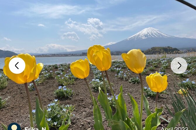 Mt. Fuji, Hakone Full-Day Private Tour with English Driver Guide - Lake Ashi and Hakone Shrine