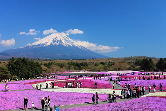 Mt. Fuji, Hakone Full-Day Private Tour with English Driver Guide - The real itinerary: choose carefully