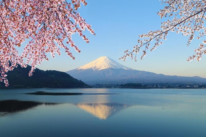 Mt. Fuji & Hakone Private Day Tour with English-Speaking Driver - Key things to know before you book