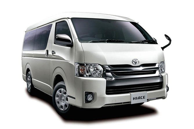 Mt. Fuji & Hakone Private Day Tour with English-Speaking Driver - Lake Ashi and the pirate ship cruise