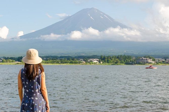 Mt. Fuji & Hakone Private Day Tour with English-Speaking Driver - Hakone Shrine and the climb to the torii