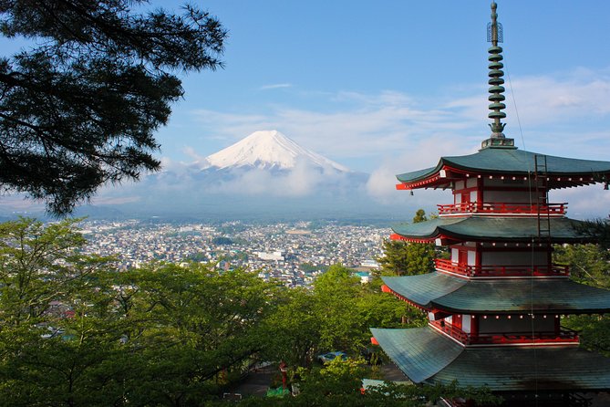 Mt. Fuji & Hakone Private Day Tour with English-Speaking Driver - Mt. Fuji 5th Station: high views, careful planning