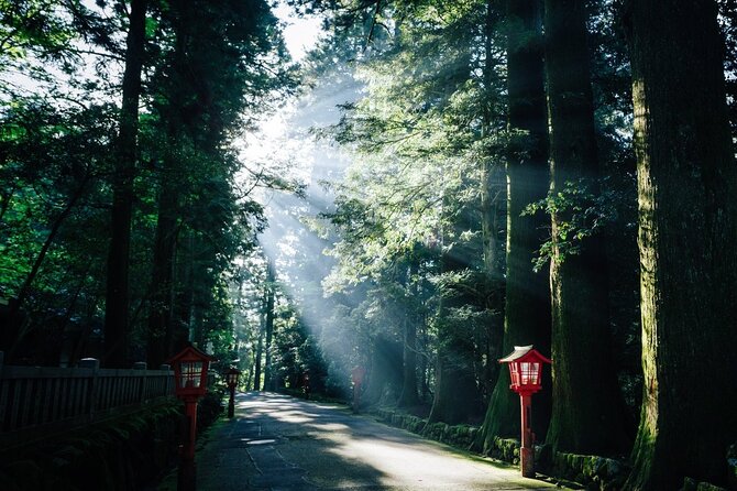 Mt. Fuji, Hakone Private Tour from Tokyo - Onsen, Arts and Nature - Amazake Chaya, a 400-year-old pause