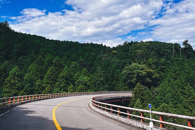 Mt. Fuji, Hakone Private Tour from Tokyo - Onsen, Arts and Nature - Lunch and the hot spring choice