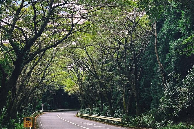 Mt. Fuji, Hakone Private Tour from Tokyo - Onsen, Arts and Nature - Choosing between two Hakone art museums