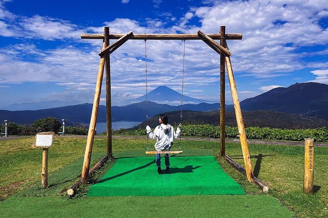Mt. Fuji, Hakone Private Tour from Tokyo - Onsen, Arts and Nature - How weather and traffic shape the experience