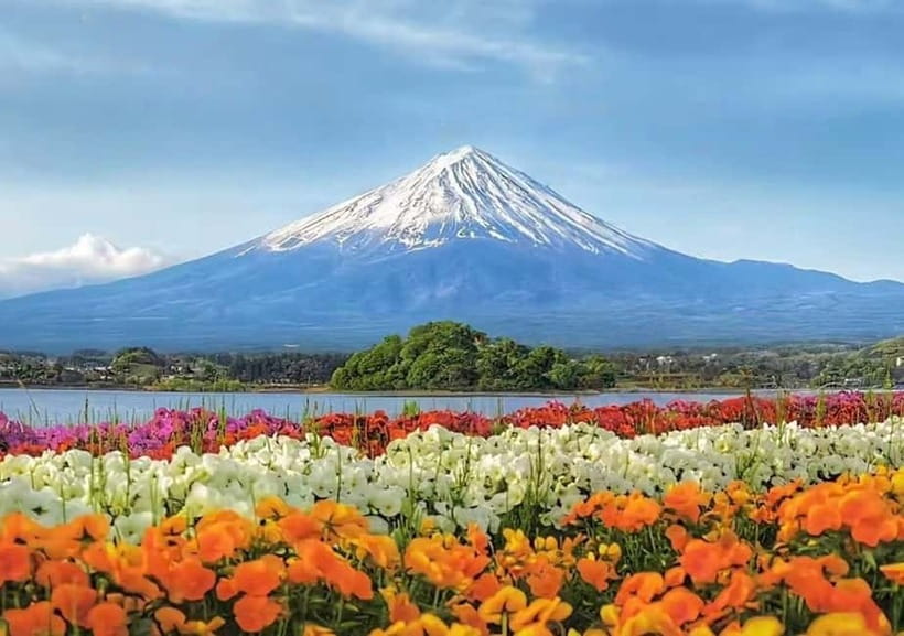 Mt. Fuji Heritage Tour: Traditional Villages, Lakes & Shrine - Weather, traffic, and the limits of a Fuji photograph