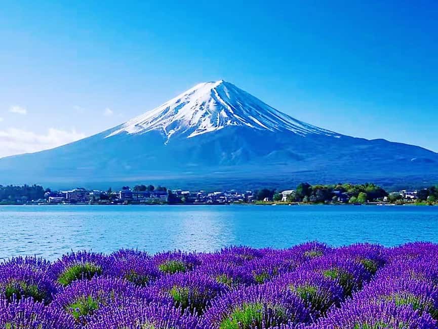 Mt. Fuji & Lake Kawaguchiko Ropeway Panorama Full-Day Tour - What $54 really gets you