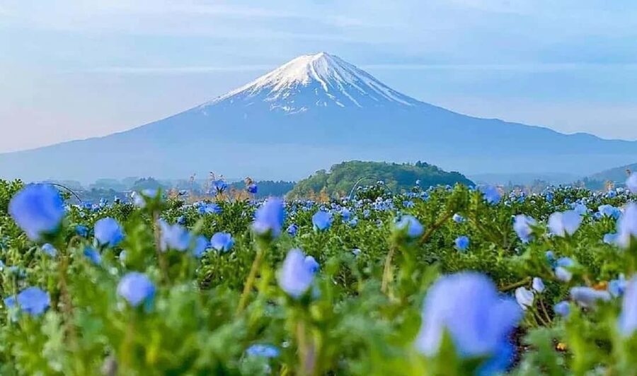 Mt. Fuji & Lake Kawaguchiko Ropeway Panorama Full-Day Tour - Kachikachi Ropeway and the first Fuji views