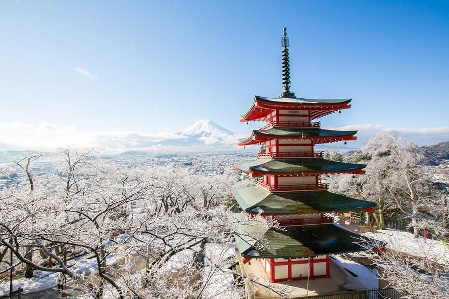 MT.Fuji: Mount Fuji Private day Tour With Guide - Two very different Fuji shrines