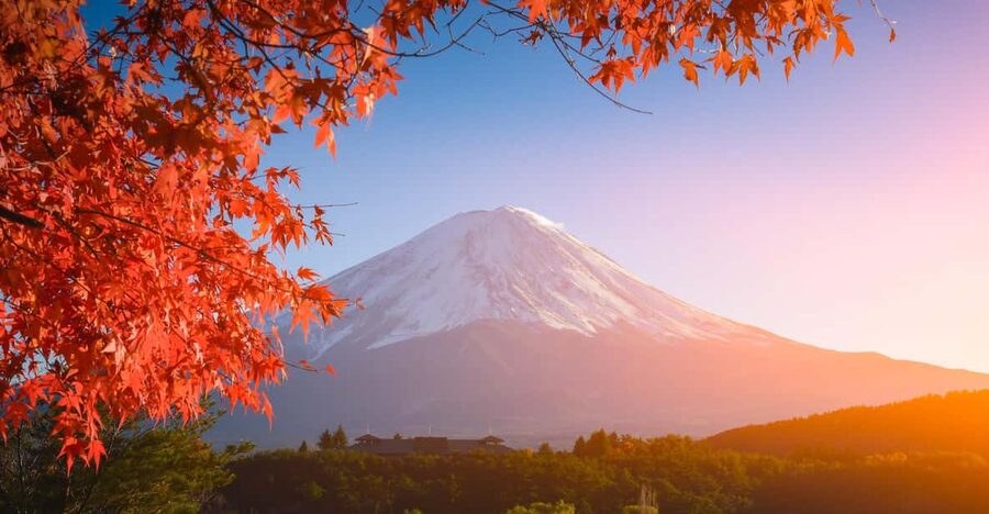 MT.Fuji: Mount Fuji Private day Tour With Guide - Oishi Park’s flowers and Fuji-shaped treats