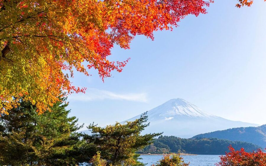Mt Fuji : Private 10-Hour Luxury Tour by Exclusive Car - The Toyota Alphard, comfort with a size warning