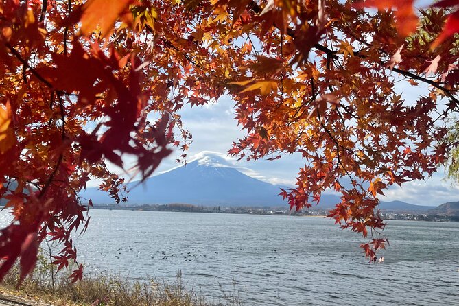 Mt. Fuji Private Tour with English Speaking Driver - Standing at 2,200 meters at Subaru Line 5th Station