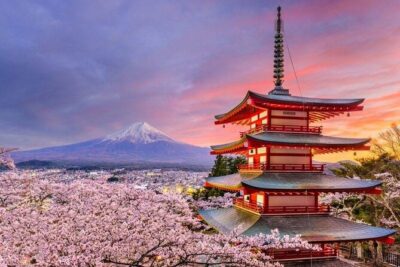 Mt Fuji Private Tour with English Speaking Driver