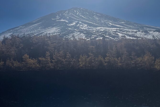 Mt. Fuji Private Tour with English Speaking Driver - Flowers and Fuji at Oishi Park
