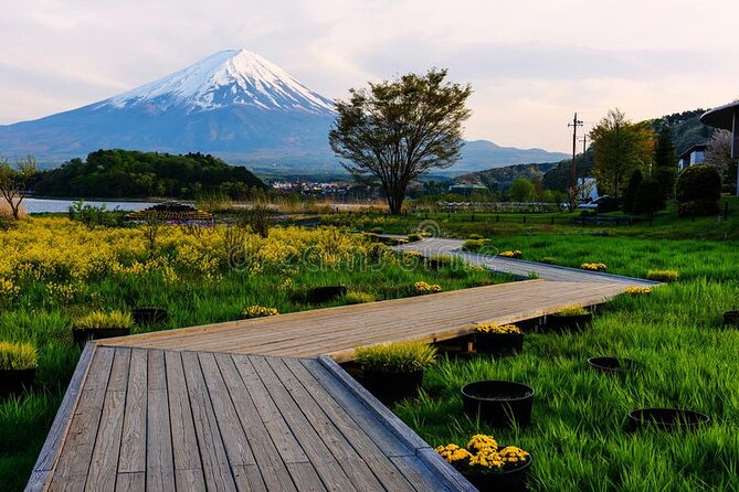 Mt. Fuji Private Tour with English Speaking Driver - Clear spring water at Oshino Hakkai