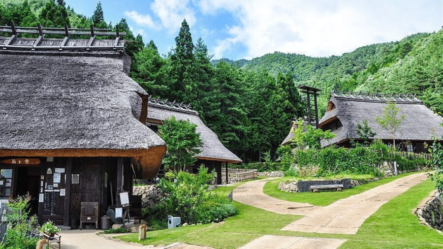 Mt Fuji Sightseeing Private tour with English Speaking Guide - Oshino Hakkai and Kitaguchi-Hongu Fuji Sengen Shrine