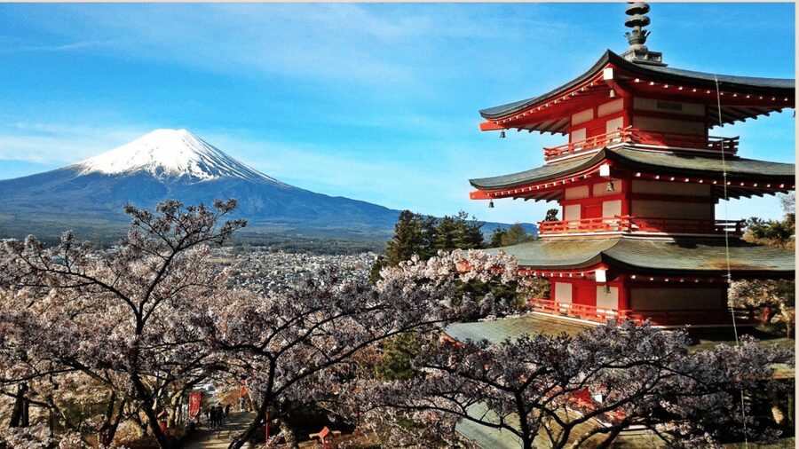 Mt Fuji Sightseeing Private tour with English Speaking Guide - Lake Ashi, Hakone Shrine, and Owakudani