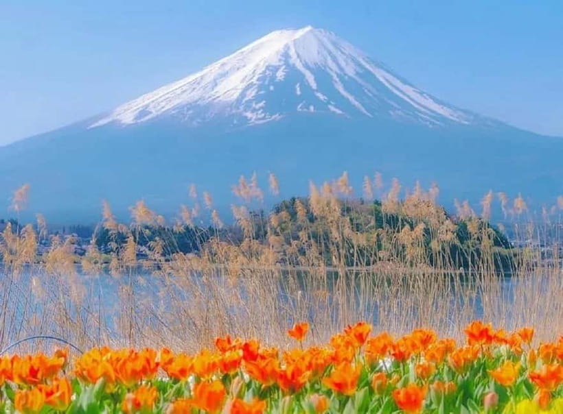 Mt Fuji Top 5 Spots Day Tour: Arakurayama Park,Oshino Hakkai - Key things to know before you book