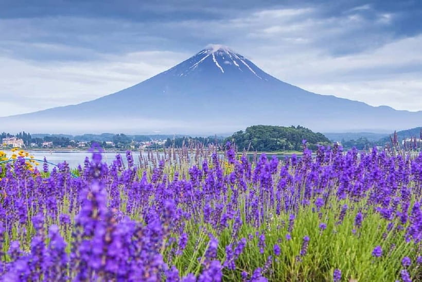 Mt Fuji Top 5 Spots Day Tour: Arakurayama Park,Oshino Hakkai - Why this Tokyo to Mount Fuji day trip works