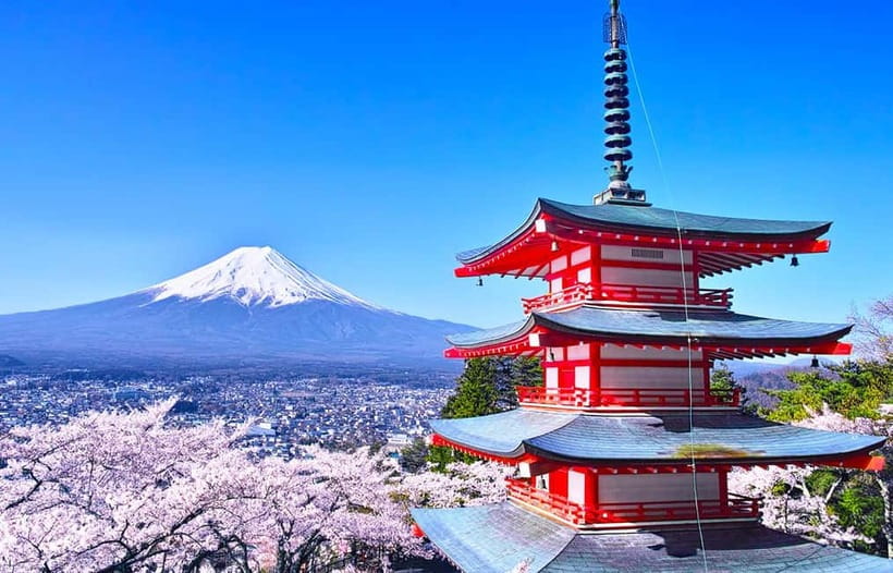 Mt Fuji Top 5 Spots Day Tour: Arakurayama Park,Oshino Hakkai - Who will get the most from this tour