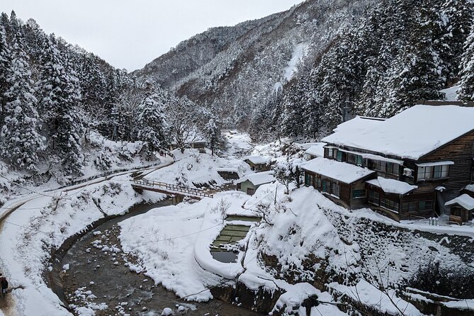 Nagano Snow Monkey 1 Day Tour with Beef Sukiyaki Lunch from Tokyo - What the $151.96 price buys you