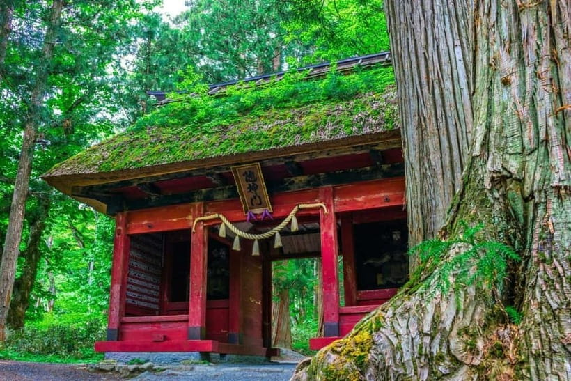 Nagano: Snow Monkeys & Togakushi Shrine Two-Spot in-One Day - FAQ