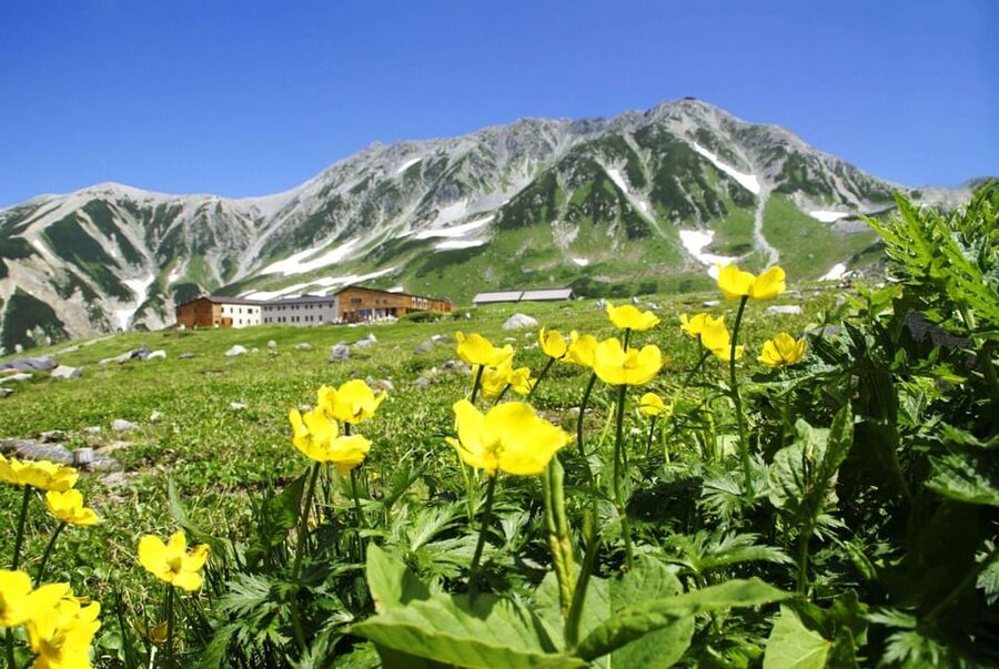 Nagano: Tateyama-Kurobe Guided Walking Tour - Why the Alpine Route works so well as a day trip