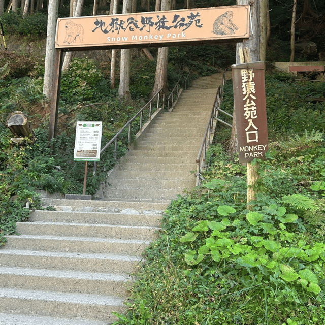 Nagano/Tokyo: Snow Monkey Private Day Tour At Lowest Rate - Key points to know before booking