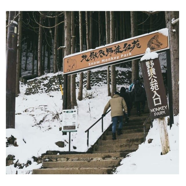 Nagano/Tokyo: Snow Monkey Private Day Tour At Lowest Rate - The snow monkeys are the main event
