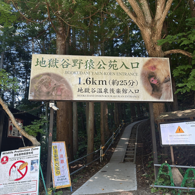 Nagano/Tokyo: Snow Monkey Private Day Tour At Lowest Rate - Zenko-ji Temple gives the day a spiritual center