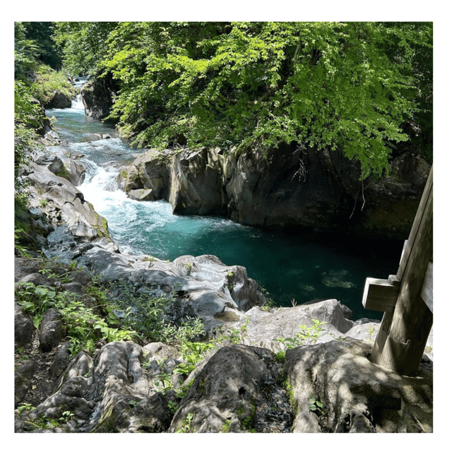 Nagano/Tokyo: Snow Monkey Private Day Tour At Lowest Rate - Matsushiro connects you with samurai-era Japan