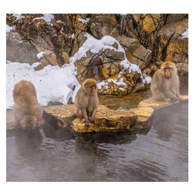 Nagano Tokyo: Snow Monkey Private Day Tour Hotel Pick & Drop - The 10-hour route and what each stop adds