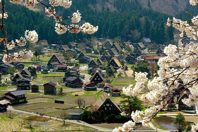 Nagoya: 2026 Hida Takayama Shirakawa-go Light-up Winter Tour - Miyagawa Morning Market and Hida beef