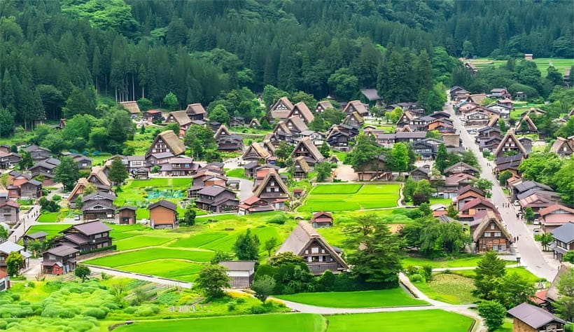 Nagoya: 2026 Hida Takayama Shirakawa-go Light-up Winter Tour - Who should book this day trip