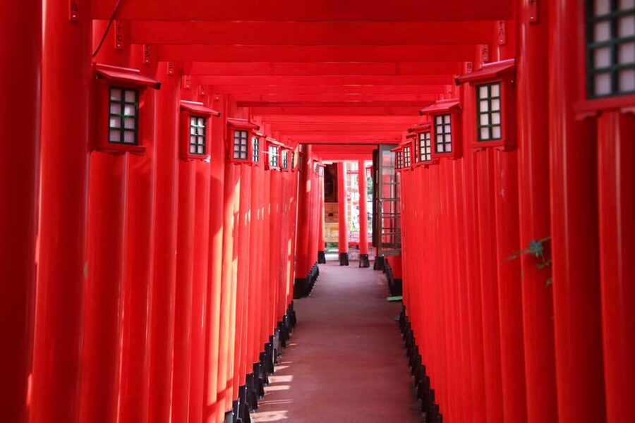 Naha: Guided E-Bike Tour of the 12 Zodiac Temples - Starting near Makishi Station