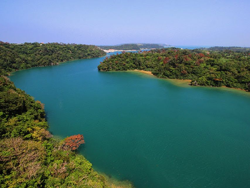 Naha: North Okinawa Sightseeing Tour & Churaumi Aquarium - Key points to know before booking