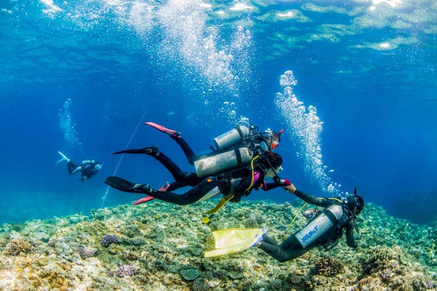 Naha, Okinawa: Kerama Islands Full-Day Intro-Diving Trip - Booking flexibility and practical details