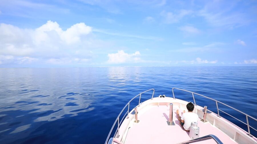 Naha, Okinawa: Kerama Islands Half-Day Whale Watching Tour - Why Okinawa’s Winter Whales Matter